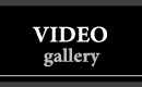 Video Gallery