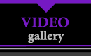 Video Gallery